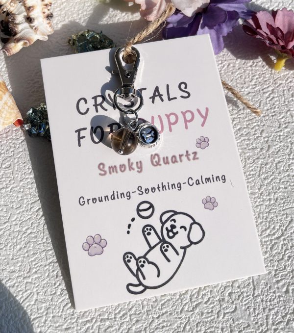 Pet Guardian Crystal